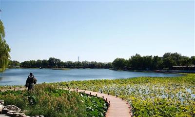 山東鄒城太平國家濕地公園濕地保護(hù)修復(fù)項(xiàng)目